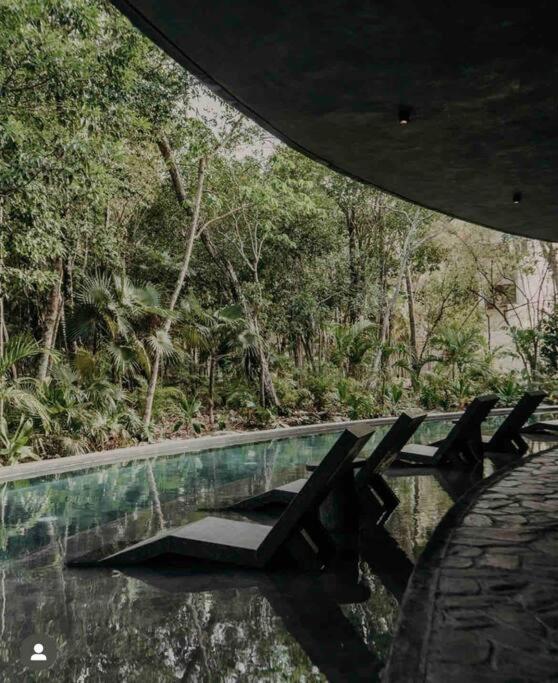 And Cozy Ph With Private Pool Tulum